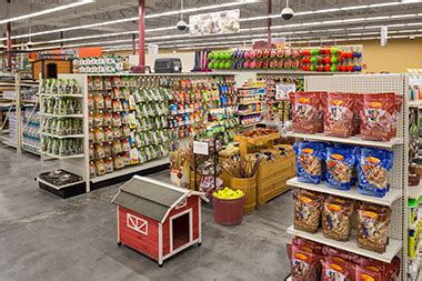 shoppers supply apache junction az.